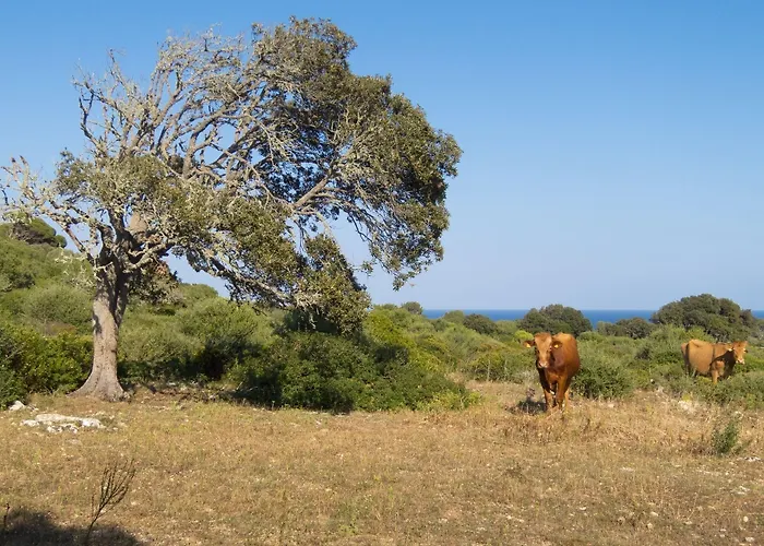 Hotel Alcaufar Vell Rural & Restaurant 4*