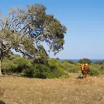 فندق Alcaufar Vell Rural & Restaurant 4*