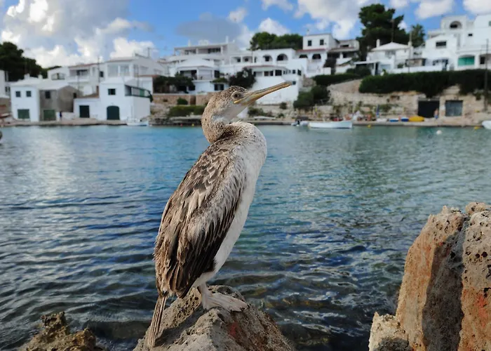 Alcaufar Vell Rural & Restaurant 4*