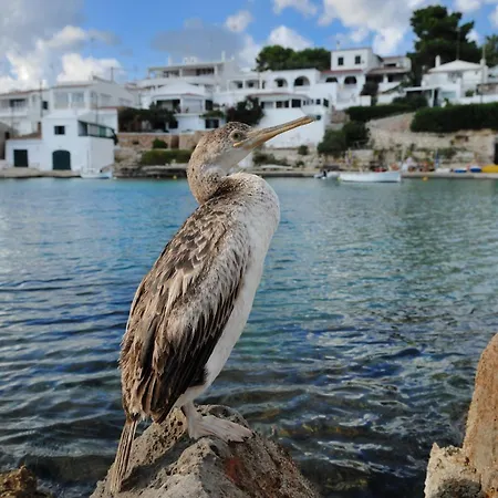 Alcaufar Vell Rural & Restaurant 4*